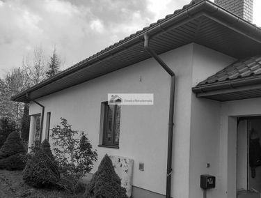 Zdjęcie 15006064