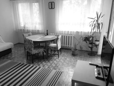 Zdjęcie 15006067