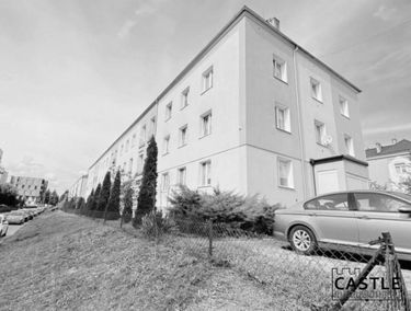 Zdjęcie 15006835