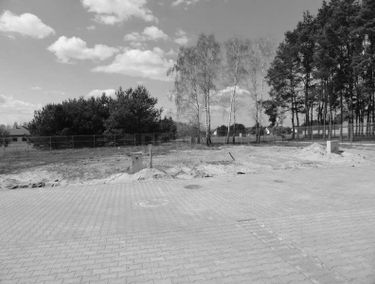 Zdjęcie 15006975