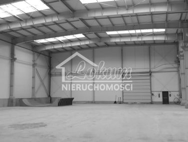 Zdjęcie 15007707