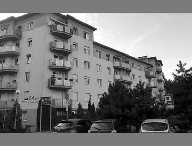 Zdjęcie 15007985