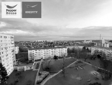 Zdjęcie 15008241