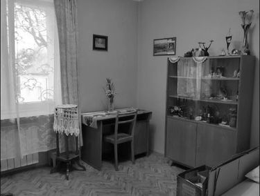 Zdjęcie 15008387