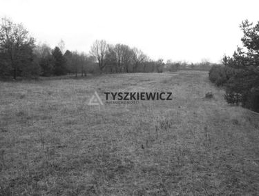 Zdjęcie 15008603
