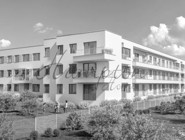 Zdjęcie 15008750