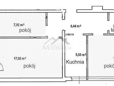 Zdjęcie 15008922