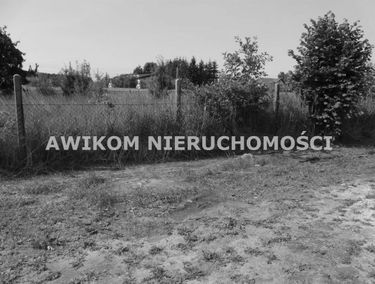Zdjęcie 15009005