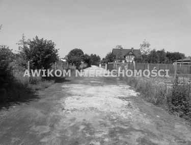 Zdjęcie 15009008
