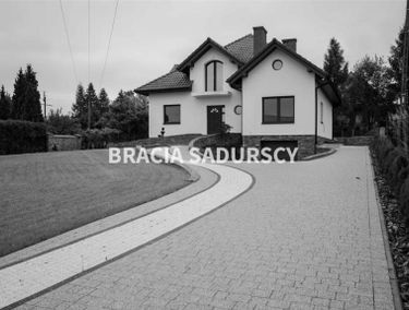 Zdjęcie 15011255