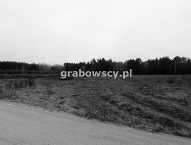 Zdjęcie 15011889