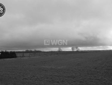 Zdjęcie 15011966