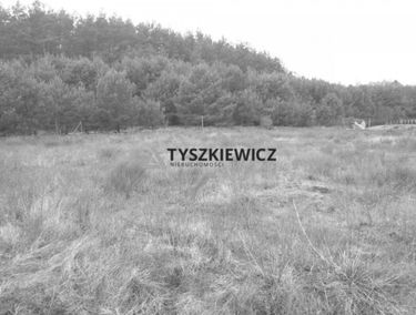 Zdjęcie 15012210