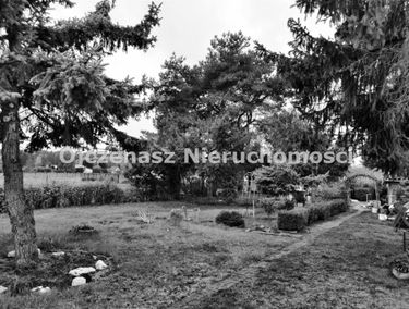 Zdjęcie 15012238