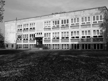 Zdjęcie 15012273