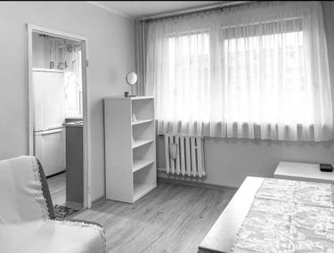 Zdjęcie 15012742