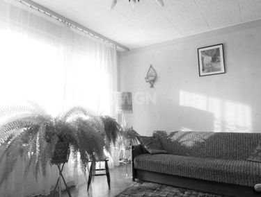 Zdjęcie 15013415