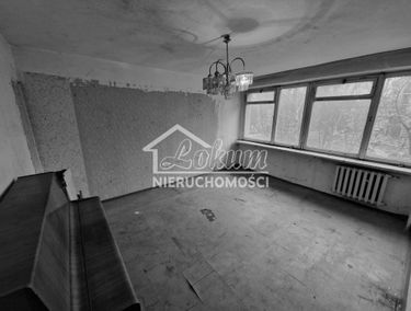 Zdjęcie 15013826