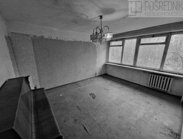 Zdjęcie 15013841