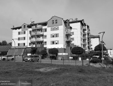 Zdjęcie 15013855