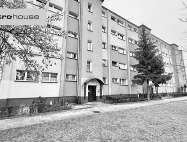 Zdjęcie 15013925