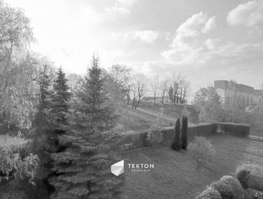 Zdjęcie 15013981