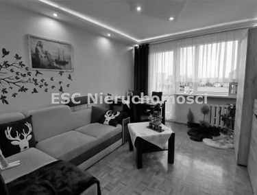 Zdjęcie 15014615