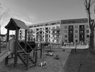 Zdjęcie 15014654