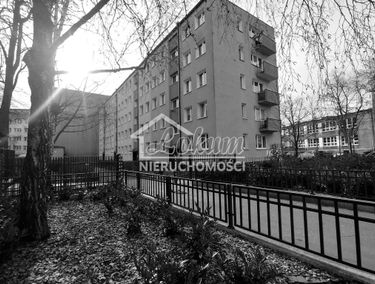 Zdjęcie 15015057