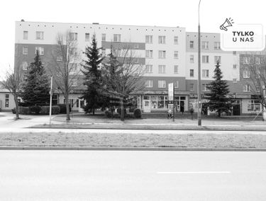 Zdjęcie 15015438