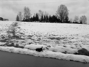 Zdjęcie 15016105
