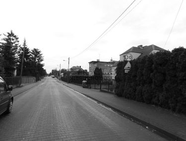 Zdjęcie 15016130