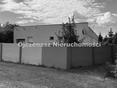 Zdjęcie 15016136