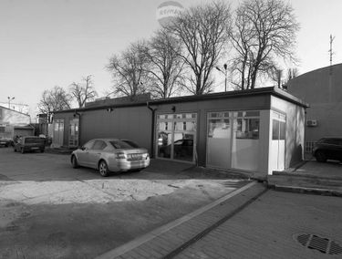 Zdjęcie 15016309