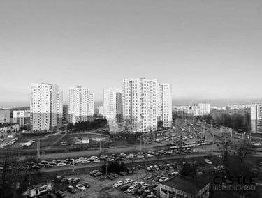 Zdjęcie 15016550
