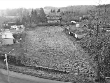 Zdjęcie 15019601