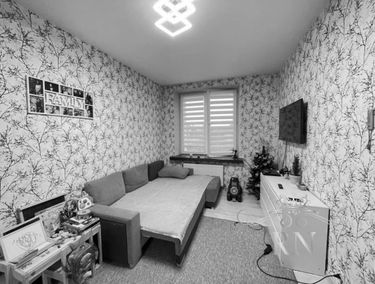 Zdjęcie 15019683