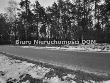 Zdjęcie 15019896