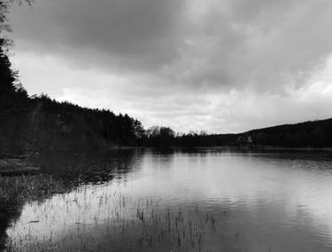 Zdjęcie 15020601