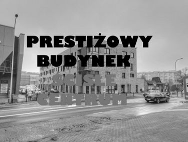 Zdjęcie 15020710