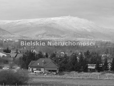 Zdjęcie 15020944