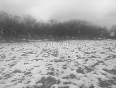 Zdjęcie 15021297