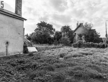 Zdjęcie 15022063