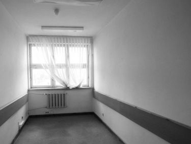 Zdjęcie 15022067