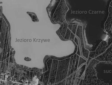 Zdjęcie 15022097