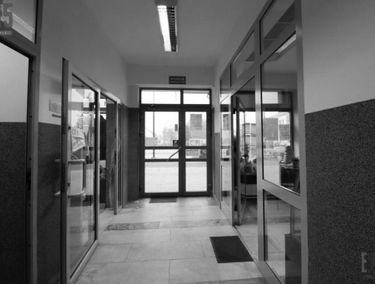 Zdjęcie 15022194