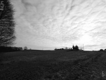 Zdjęcie 15022233