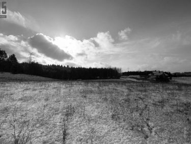 Zdjęcie 15022276