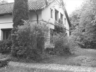 Zdjęcie 15022739