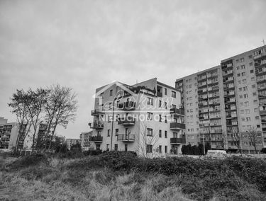 Zdjęcie 15022851